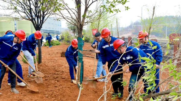 bevictorΰ¹ - Τ¹ٷվ