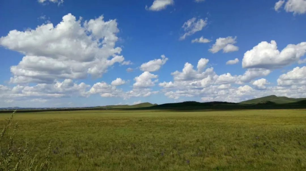 bevictorΰµÂ¹ÙÍø - ΤµÂ¹Ù·½ÍøÕ¾