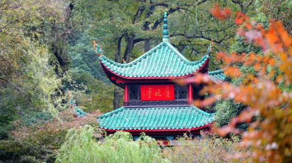 bevictorΰ¹ - Τ¹ٷվ